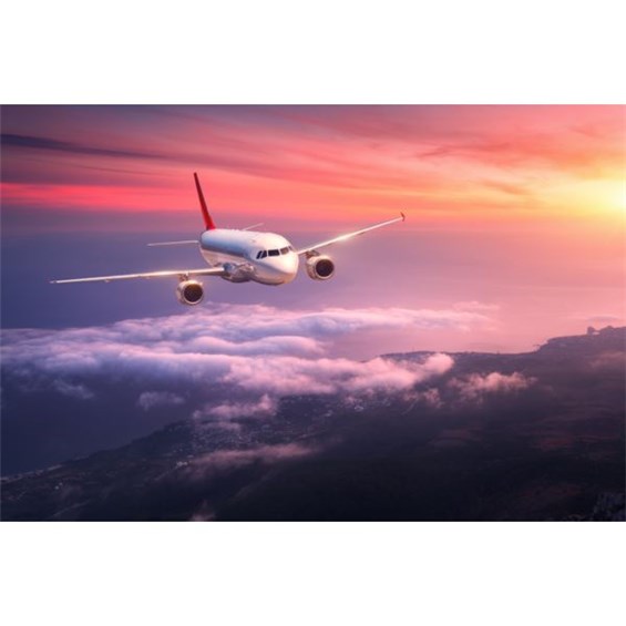 1FF7CF86-E80A-4575-B518-F9B318E0080F-600