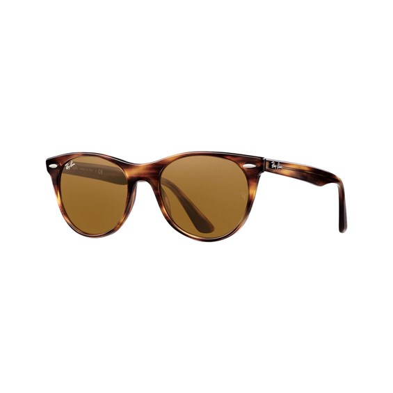 Wayfarer II Classic Sunglasses ChooseYourGift