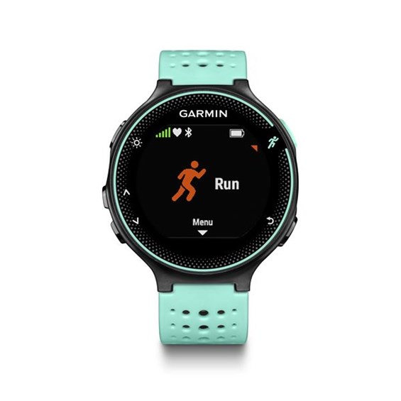forerunner 234
