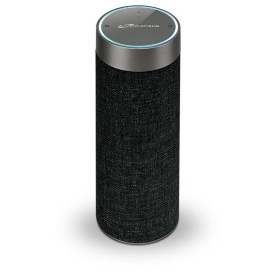 portable alexa