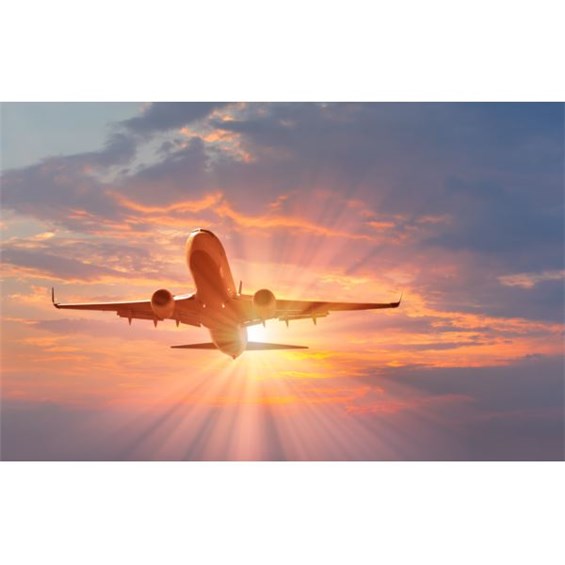 C1832E10-B4AF-4521-AC1A-44287A1CD26B-600