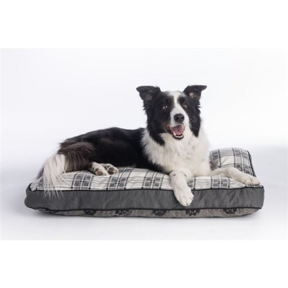 mypillow dog bed large