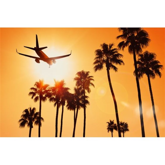 E1C6C35C-8FB7-481B-B506-200953E1E38A-600