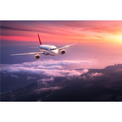 1FF7CF86-E80A-4575-B518-F9B318E0080F-600