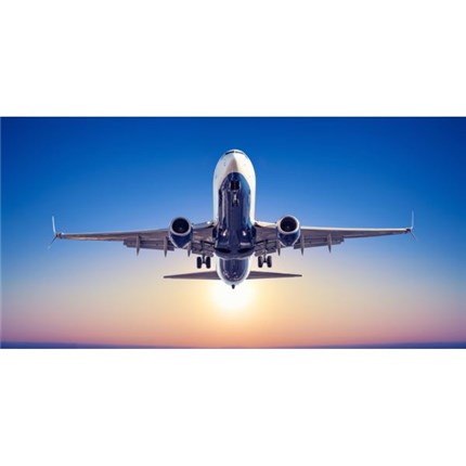 E3AA3B1D-71E6-449C-95C2-28CC2CAA79F2-600
