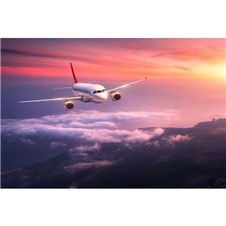 1FF7CF86-E80A-4575-B518-F9B318E0080F-600