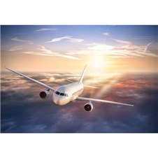 2AAF9BDC-0529-497C-9F13-91ABDB32E561-600