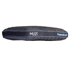 434D248B-4621-47EA-8442-0C7F1073E7E0-600