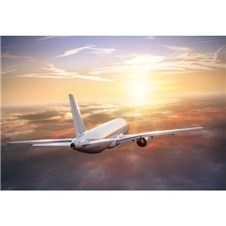 5355D308-20B8-442A-9295-D58BC9F98BD7-600
