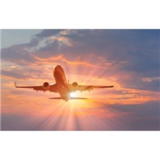 C1832E10-B4AF-4521-AC1A-44287A1CD26B-600