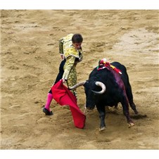 D6C3E882-FE73-4F88-A7B4-F8DDC7BBFDE2-600