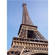 D7811313-88F9-46E7-B97C-2F0F06633D4F-600