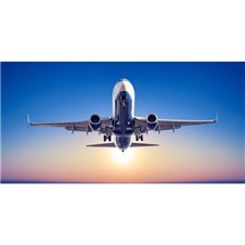 E3AA3B1D-71E6-449C-95C2-28CC2CAA79F2-600