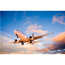 EEC07B77-688D-46A7-90AE-AC81F509EE62-600